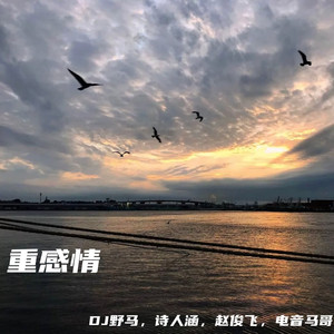 日本在线视频一区二区
